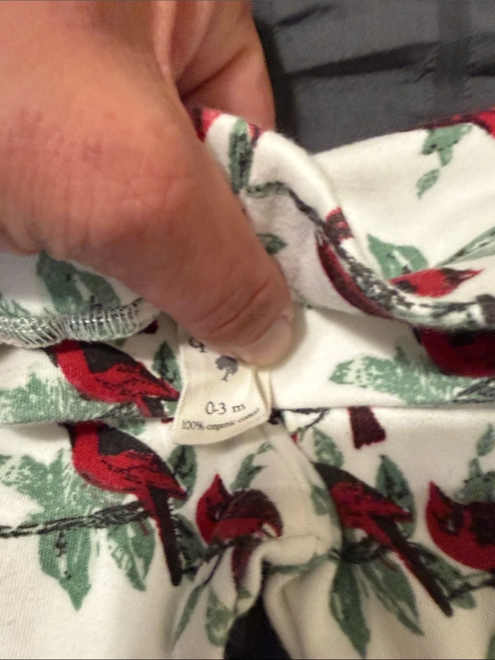 kate quinn Cream Red and Green Cardinal Print Ruffle Pants & Hat Set